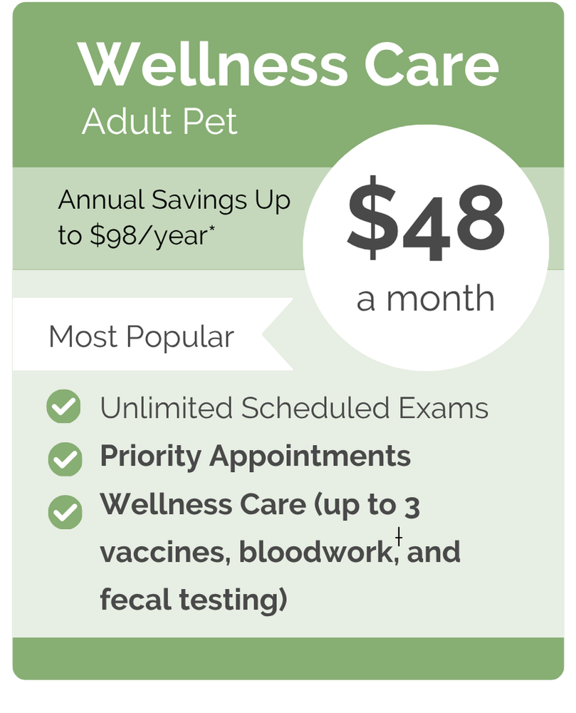 Culbreth Carr Watson VIPet Plan_pricing_Wellness_Modern