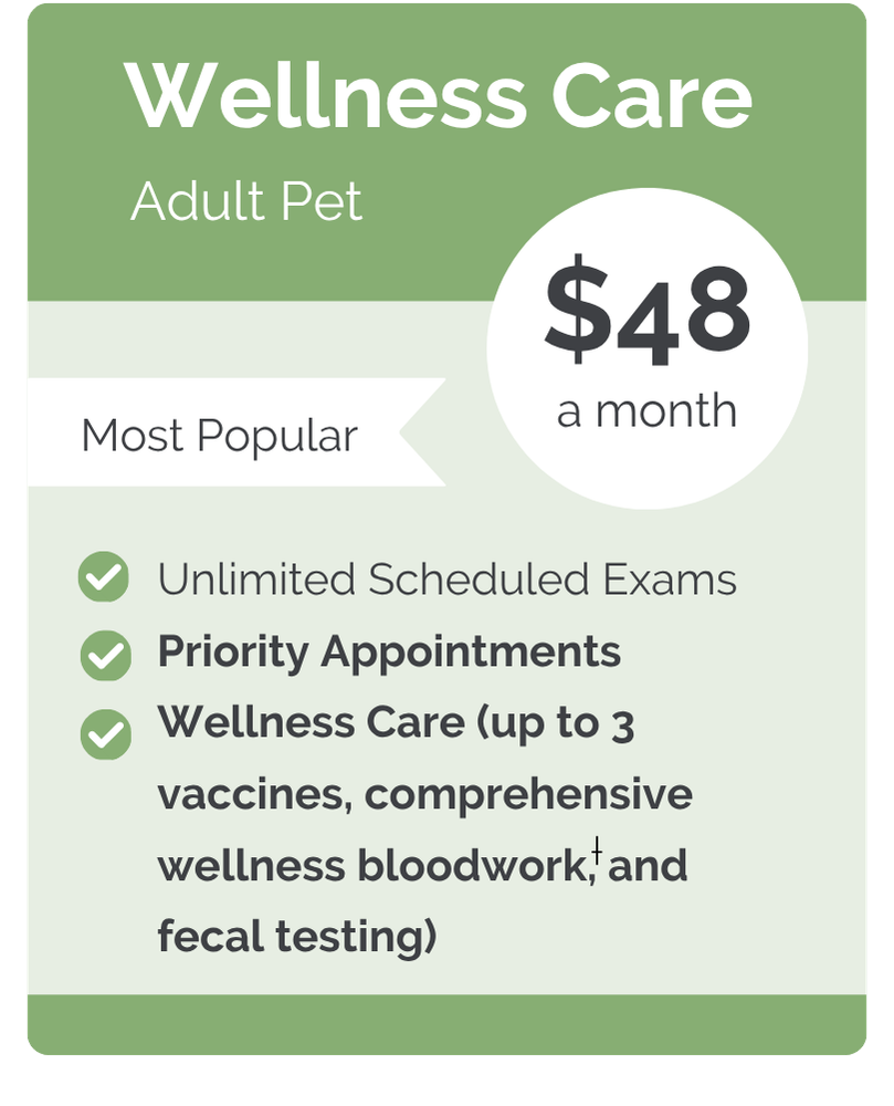 Culbreth Carr Watson VIPet Plan_pricing_Wellness_Modern